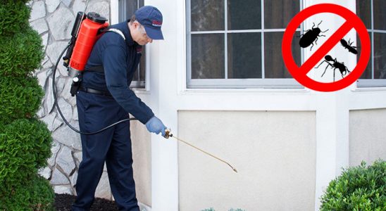 Ayvalık Akrep İlaçlama böcek ilaçlama ve haşere kontrolü — ilaclama-tr.com